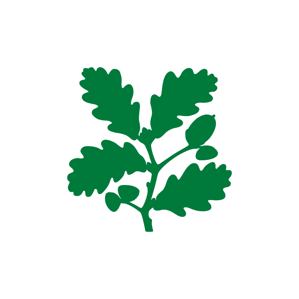 The Beatles' Childhood Homes in Liverpool